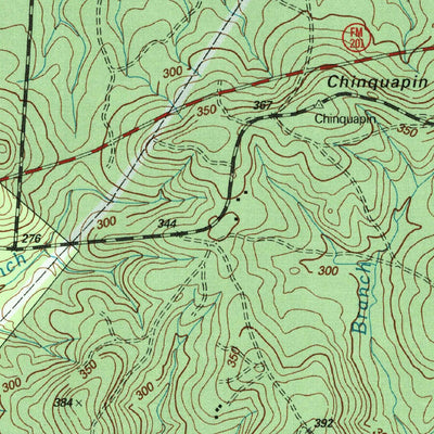 United States Geological Survey Pineland South, TX (2003, 24000-Scale) digital map
