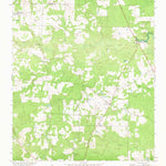 United States Geological Survey Pineview East, GA (1972, 24000-Scale) digital map