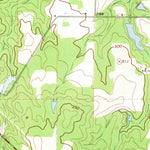 United States Geological Survey Pineview East, GA (1972, 24000-Scale) digital map