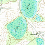 United States Geological Survey Pineview NW, GA (1971, 24000-Scale) digital map