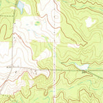United States Geological Survey Pineview West, GA (1971, 24000-Scale) digital map
