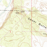 United States Geological Survey Pingree, ID (1955, 24000-Scale) digital map