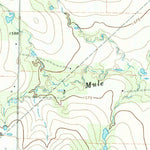 United States Geological Survey Pinkerton, TX (1966, 24000-Scale) digital map