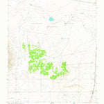 United States Geological Survey Pinon Hills, NM (1964, 24000-Scale) digital map