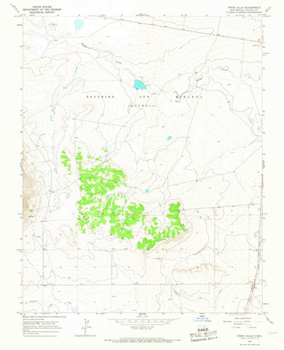 United States Geological Survey Pinon Hills, NM (1964, 24000-Scale) digital map