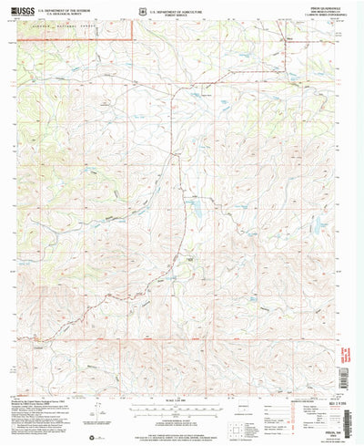United States Geological Survey Pinon, NM (2004, 24000-Scale) digital map