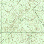 United States Geological Survey Pinto Creek, TX (1982, 24000-Scale) digital map