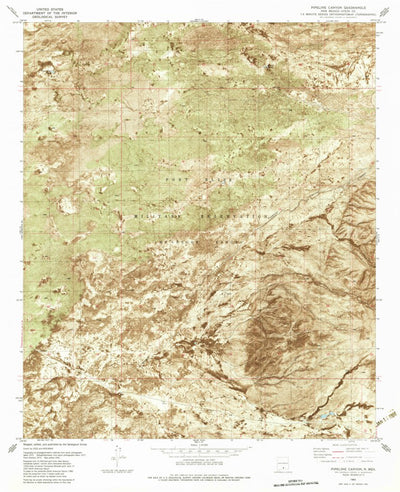 United States Geological Survey Pipeline Canyon, NM (1982, 24000-Scale) digital map