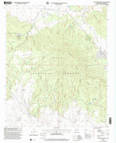 United States Geological Survey Pitchfork Canyon, NM (1999, 24000-Scale) digital map