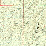 United States Geological Survey Pitchfork Canyon, NM (1999, 24000-Scale) digital map