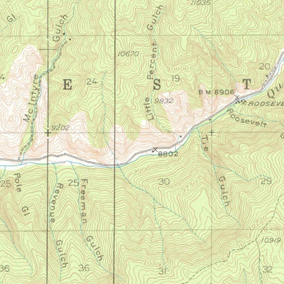 United States Geological Survey Pitkin, CO (1941, 62500-Scale) digital map