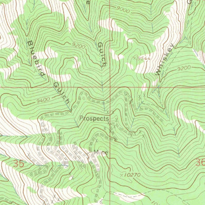 United States Geological Survey Pitkin, CO (1964, 24000-Scale) digital map
