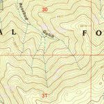 United States Geological Survey Pitkin, CO (2001, 24000-Scale) digital map