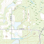 United States Geological Survey Pitts, GA (2020, 24000-Scale) digital map