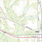 United States Geological Survey Pitts, GA (2020, 24000-Scale) digital map