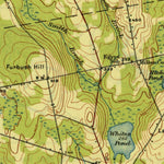 United States Geological Survey Pittsfield, ME (1933, 62500-Scale) digital map