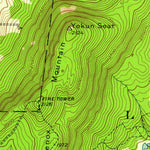 United States Geological Survey Pittsfield West, MA-NY (1944, 24000-Scale) digital map
