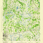 United States Geological Survey Plant City East, FL (1944, 31680-Scale) digital map