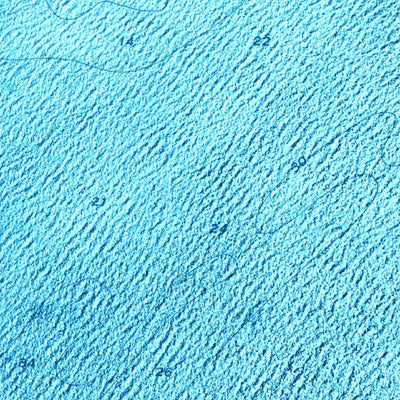 United States Geological Survey Plantation Key, FL (1971, 24000-Scale) digital map