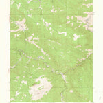 United States Geological Survey Platte Canyon, CO (1945, 24000-Scale) digital map