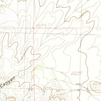 United States Geological Survey Playas Peak, NM (1982, 24000-Scale) digital map