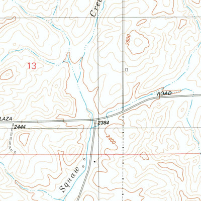 United States Geological Survey Plaza, WA (1980, 24000-Scale) digital map