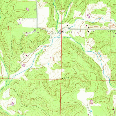 United States Geological Survey Pleasant Hope, MO (1961, 24000-Scale) digital map