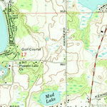 United States Geological Survey Pleasant Lake, MI (1970, 24000-Scale) digital map