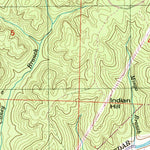 United States Geological Survey Pleasant Site, AL (1950, 24000-Scale) digital map