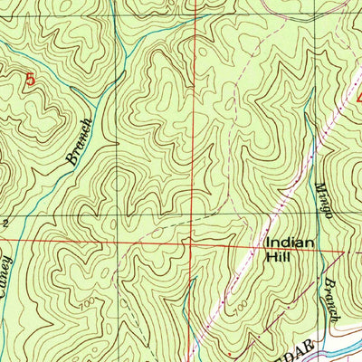 United States Geological Survey Pleasant Site, AL (1950, 24000-Scale) digital map