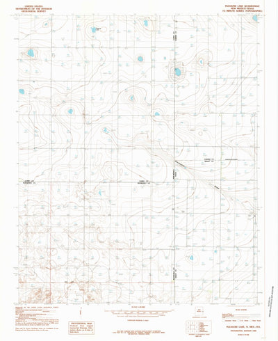 United States Geological Survey Pleasure Lake, NM-TX (1985, 24000-Scale) digital map
