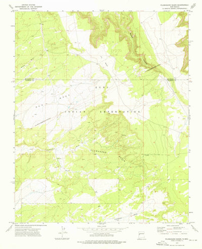 United States Geological Survey Plumasano Basin, NM (1972, 24000-Scale) digital map