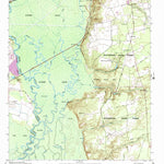 United States Geological Survey Poinsett State Park, SC (1953, 24000-Scale) digital map