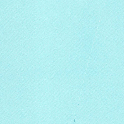 United States Geological Survey Point Roberts, WA (1952, 24000-Scale) digital map
