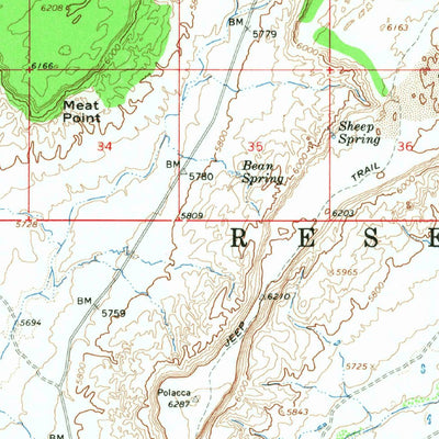 United States Geological Survey Polacca, AZ (1966, 62500-Scale) digital map