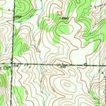 United States Geological Survey Polk, MO (1950, 24000-Scale) digital map