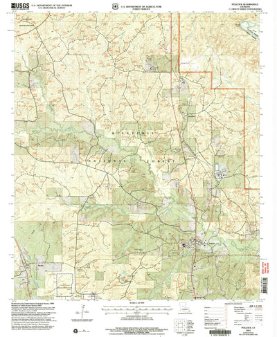 United States Geological Survey Pollock, LA (2003, 24000-Scale) digital map