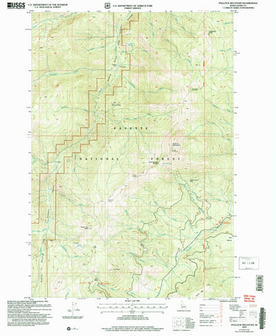United States Geological Survey Pollock Mountain, ID (2004, 24000-Scale) digital map