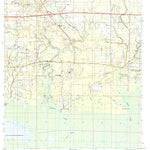 United States Geological Survey Ponchatoula NE, LA (1998, 24000-Scale) digital map