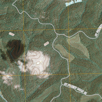 United States Geological Survey Pond Run, OH-KY (2010, 24000-Scale) digital map