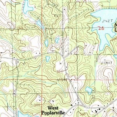 United States Geological Survey Poplarville, MS (1986, 24000-Scale) digital map