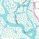 United States Geological Survey Port Acres, TX (1962, 24000-Scale) digital map