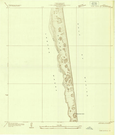 United States Geological Survey Port Isabel NW, TX (1930, 24000-Scale) digital map