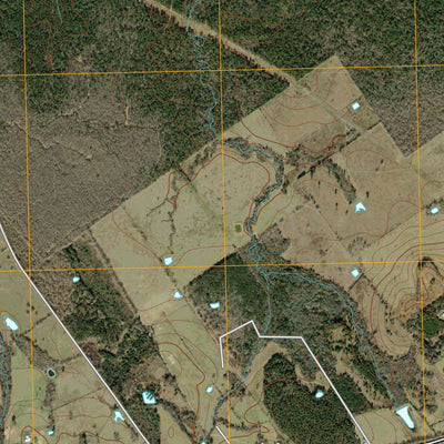 United States Geological Survey Porter Springs, TX (2010, 24000-Scale) digital map