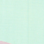 United States Geological Survey Potrero Lopeno SW, TX (1952, 24000-Scale) digital map