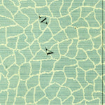 United States Geological Survey Potrero Lopeno, TX (1923, 62500-Scale) digital map