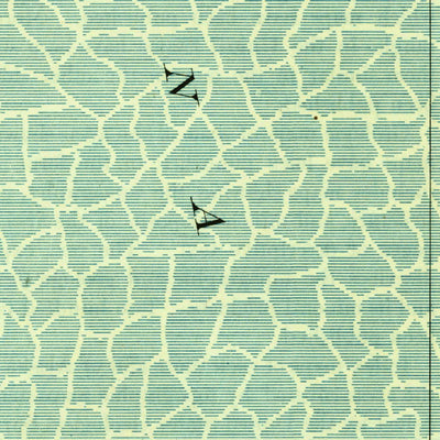 United States Geological Survey Potrero Lopeno, TX (1923, 62500-Scale) digital map