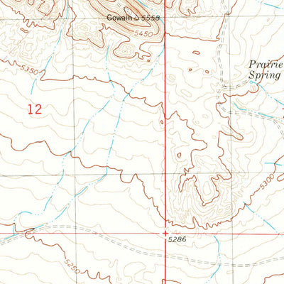 United States Geological Survey Prairie Spring, NM (1982, 24000-Scale) digital map