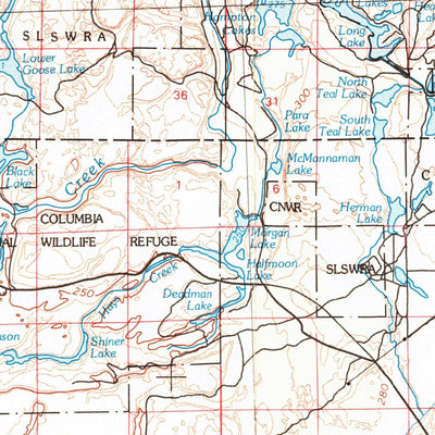 United States Geological Survey Priest Rapids, WA (1979, 100000-Scale) digital map