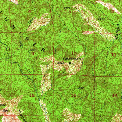 United States Geological Survey Priest Valley, CA (1956, 62500-Scale) digital map